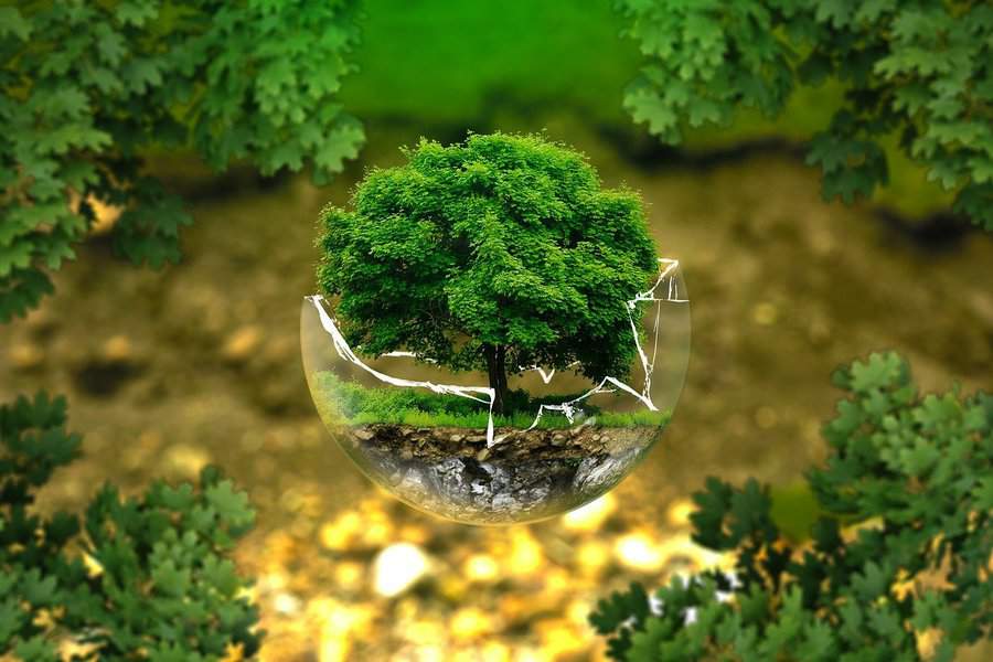 environmental protection, nature conservation, ecology